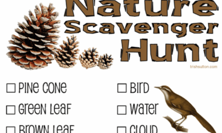 Discover the Adventure of Nature Scavenger Hunts